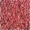 Sell red skin peanuts