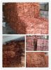 Sell 2013 high quality scrap copper wire