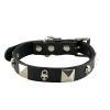 Sell leather dog collar