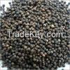 Whole Black Pepper MG-1