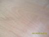 Sell large size okumen plywood okuman board with 1220x2440mm