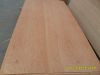 Sell big size bintangor commerical plywood 1220X2440mm1-25MM thickness