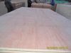 Sell okumen commercial plywood okumen faced plywood