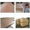 Sell Furniture Grade Redwood Plywood
