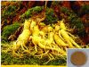 Sell Ginseng Ultrafine Powder