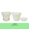Sell white ceramic pots for painting