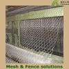 Galvanized and pvc coated  gabion box( hot selling)