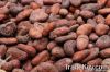 Sell  Best Quality Cocoa Beans