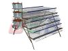 Sell Poultry Layer Chicken Cage(Egg Chicken Cage)