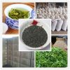 Sell China Green Tea Extrac Grade Chunmee 41022AAAAA