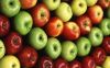 Sell Fresh Green and Red Apple Fruits