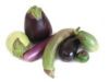 Sell Eggplants