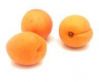 Sell Fresh Apricot