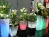 Sell led pour vases