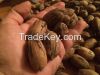 Pecan nuts in shell or shelled