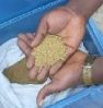 Sell Alluvial Gold Dust, Gold Dory Bars Purity 93.5%+