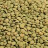 Sell lentil