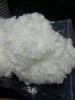 Hollow Conjugated silicon Polyester fiber 7d 15d