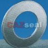 Sell   Reinforced Graphite Gasket