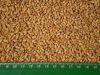 wheat, peas and barley, buckwheat, millet, feed wheat, wheat flour,