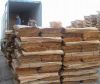 Sell Eucalyptus core veneer