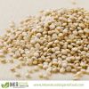 ORGANIC WHITE QUINOA Grain PREMIUM Certified / QUINUA BLANCA ORGANICA Certificada PREMIUM