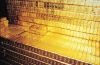 Gold Bars Supply - 100kgs Available
