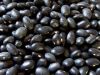 Sell Black Eye Beans