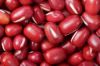 Sell Red Kidney Beans