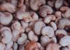 Sell Unshelled raw cashew nut