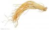 Panax Ginseng Extract/Ginseng P.E.