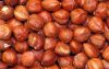 Sell Hazelnuts, Yellow Peas, Walnuts  in Shell 2013
