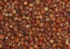 Sorghum, Soft Red Winter Wheat, Barley , Canadian Wheat