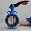 Cast Iron Ductile Iron Wafer Butterfly Valve