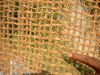 COIR NETS