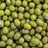 Sell Green Mung Beans