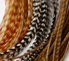 Sell 2013hot sale grizzly rooster feather hair extensions