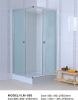 Fashionable Style Shower Door