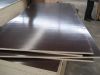 Competitive price Film faced plywood for sale