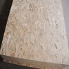 Sell high quality OSB2 boards 9mm 11mm
