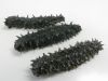 Sell DRIED SEA CUCUMBER such as: Black Sand Fish, Yellow Sand Fish, Wh