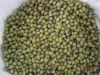 Green mung  bean