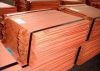 Sell Copper cathodes
