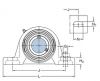 SKF SY 40 TF Y-bearing Plummer Block Units