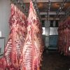 Export Buffalo Meat | Cow Meat Suppliers | Beef Exporters | Sheep Meat Traders | Goat Meat Buyers | Lamb Meat Wholesalers | Low Price Cow Meat | Buy Sheep Meat | Import Beef | Buffalo Meat Importers | Wholesale Cow Meat 