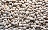 Sell Soybeans Vigna Beans Mung Beans Broad Beans Butter Beans Chickpea
