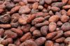 Sell Good Fermented Cocoa Beans Of Premium Grade