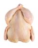 Sell Whole chicken, Chicken breast, chicken legs, chicken wings etc
