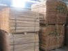 core veneer for plywood