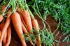Sell 2013 New crop Fresh Carrot